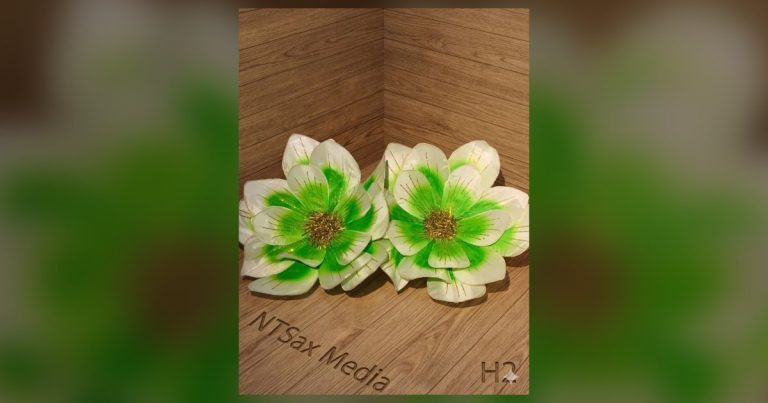 Hoa múa cầm tay màu xanh lá cho tiết mục múa